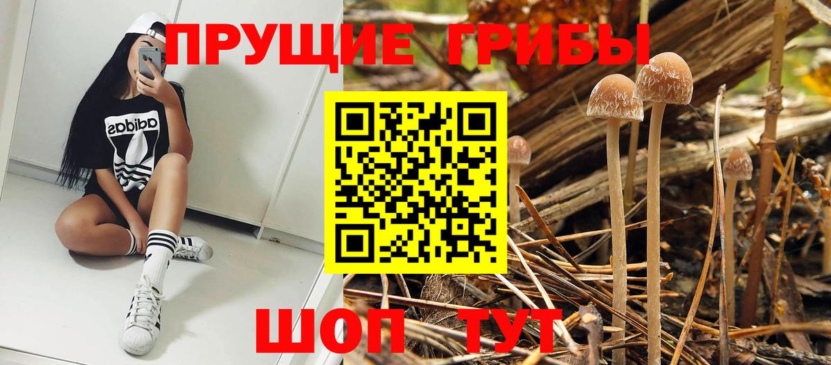 Псилоцибиновые грибы GOLDEN TEACHER  Галлюциногенные грибы прущие грибы  Надым  Вход с VPN 
